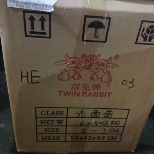 Jamur Hioko / Shitake kecil 2-3CM