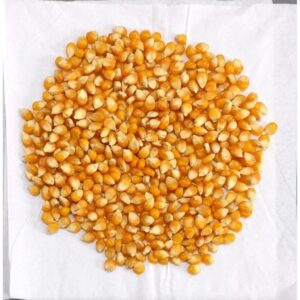 jagung