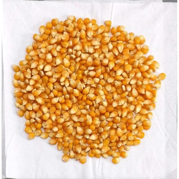 jagung