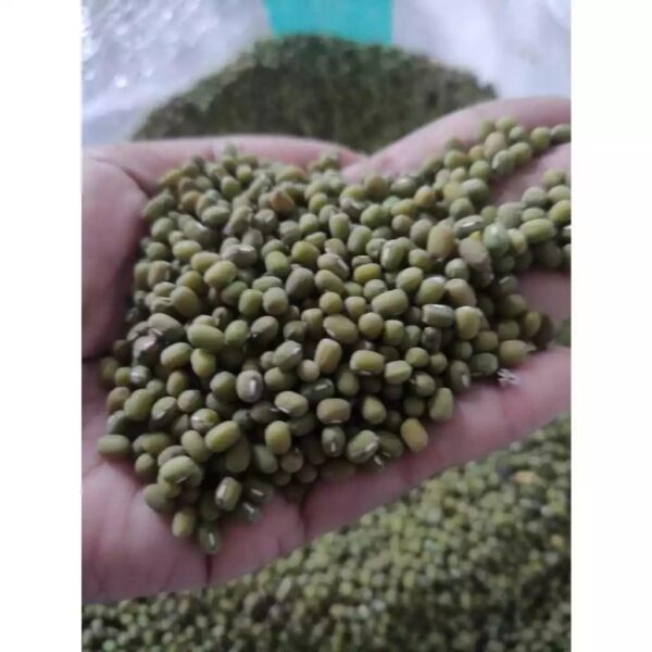 Kacang Hijau 25 Kg Per Sak / Per Karung - Image 2