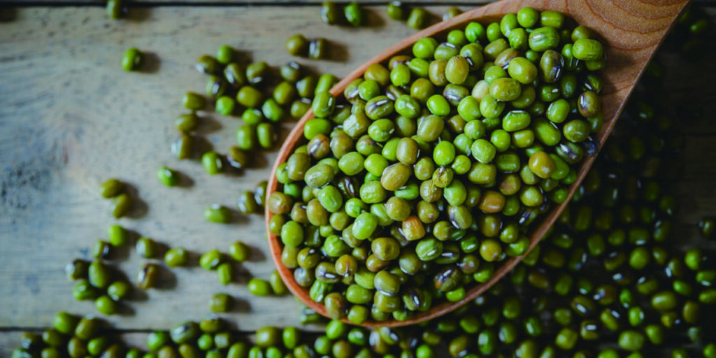 kacang hijau